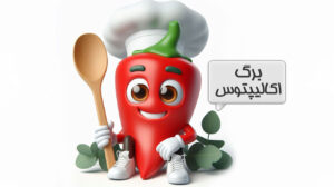 برگ اکالیپتوس